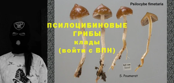 бошки Абинск
