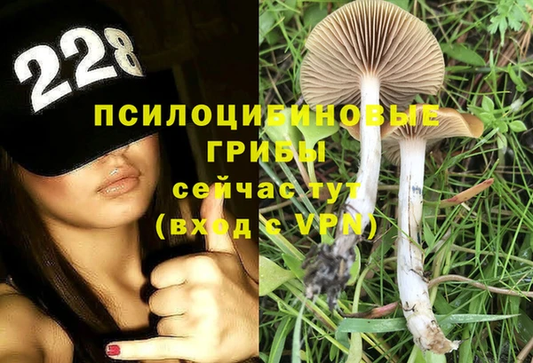 бошки Абинск