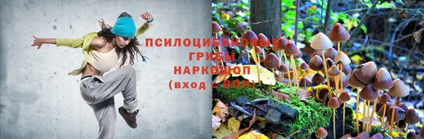 СК Абаза