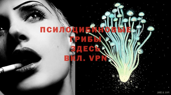 бошки Абинск