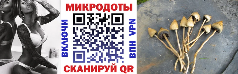 Галлюциногенные грибы мухоморы  Нариманов 